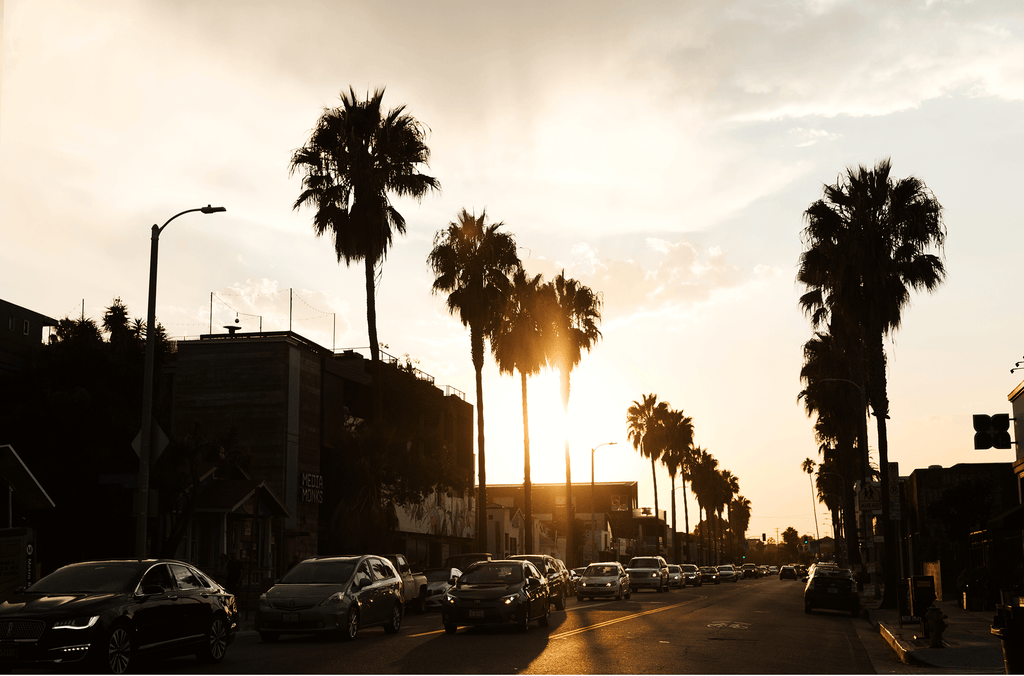 Los Angeles, palm, street, HD phone wallpaper